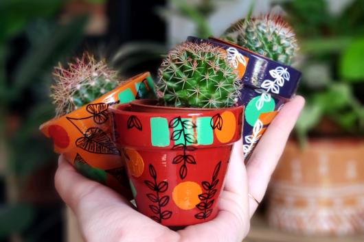 Mini Potes Cactus